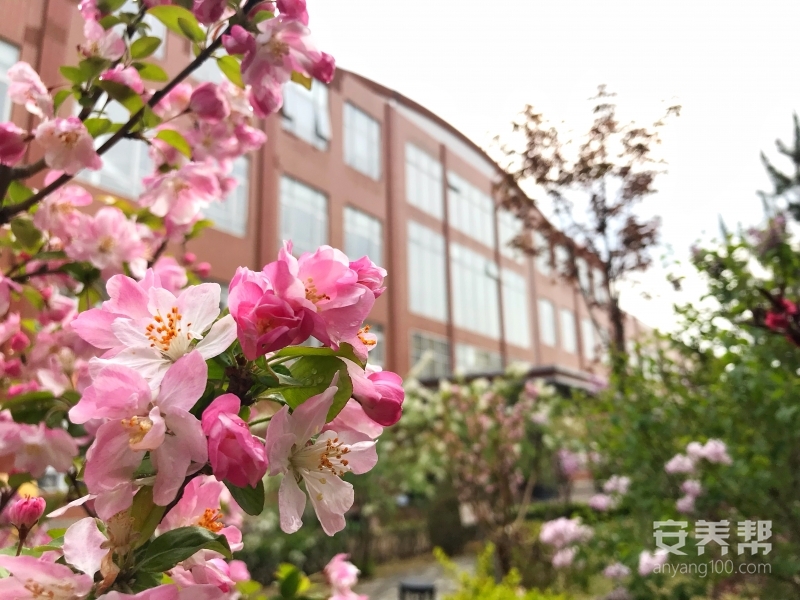 长友雅苑养老院标准套间